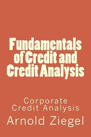 Fundamentals of Credit and Credit Analysis de MR Arnold Ziegel