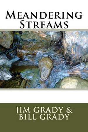 Meandering Streams de Bill Grady