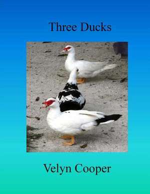 Three Ducks de Velyn Cooper