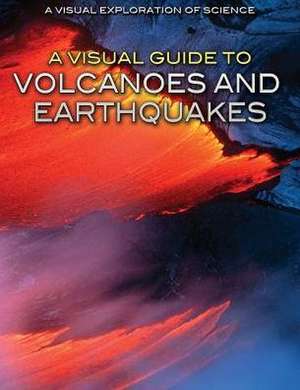 A Visual Guide to Volcanoes and Earthquakes de Diana Malizia