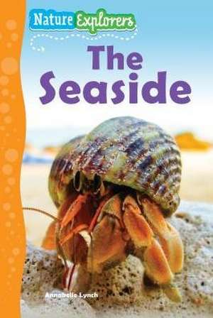 The Seaside de Annabelle Lynch