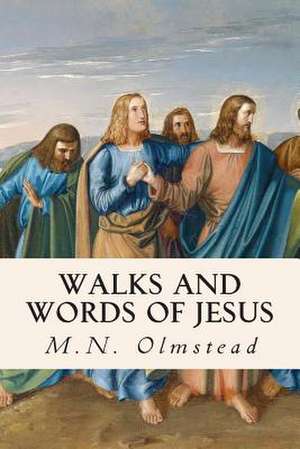 Walks and Words of Jesus de Olmstead, M. N.