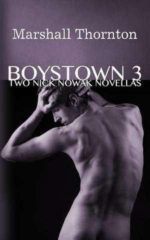 Boystown 3 de Marshall Thornton