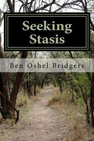 Seeking Stasis de Ben Oshel Bridgers