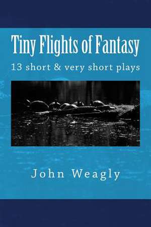 Tiny Flights of Fantasy de John Weagly