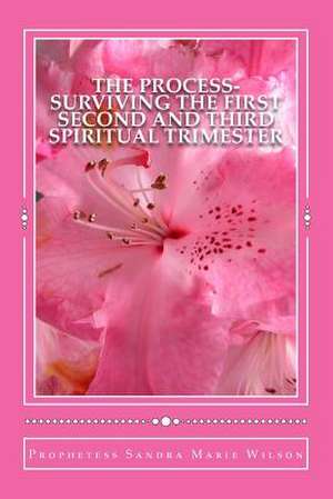 The Process-Surviving the First Second and Third Spiritual Trimester de Prophetess Sandra Marie Wilson