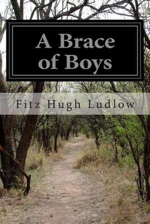 A Brace of Boys de Fitz Hugh Ludlow