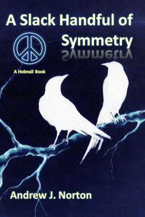 A Slack Handful of Symmetry de MR Andrew James Norton