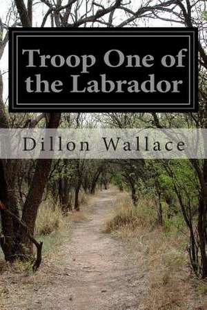 Troop One of the Labrador de Dillon Wallace