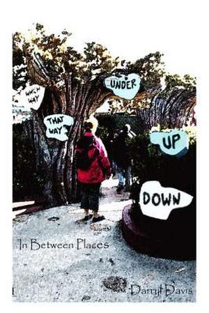 In-Between Places de Darryl Davis