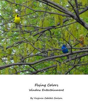 Flying Colors de Virginia Cabibil Carlson