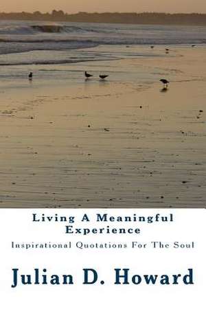 Living a Meaningful Experience de Julian D. Howard