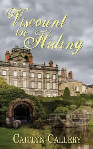 Viscount in Hiding de Caitlyn Callery