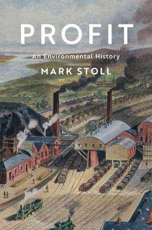 Profit – An Environmental History de M Stoll