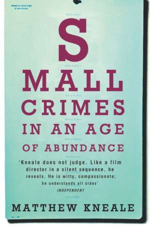 Small Crimes in an Age of Abundance de Matthew Kneale