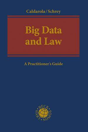 Big Data and Law de Maria Cristina Caldarola