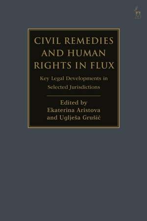 Civil Remedies and Human Rights in Flux: Key Legal Developments in Selected Jurisdictions de Dr Ekaterina Aristova