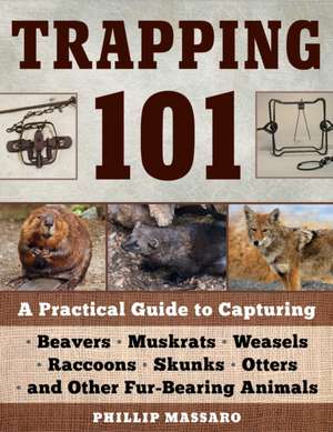 Trapping 101 de Philip Massaro