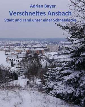 Verschneites Ansbach de Adrian Bayer