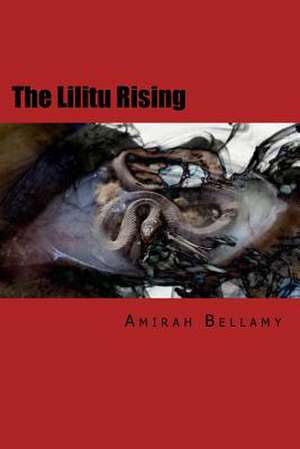 Borrowed Eyes de Amirah Bellamy