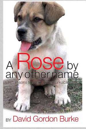 A Rose by Any Other Name de David Gordon Burke