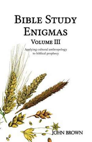 Bible Study Enigmas, Volume III de MR John L. Brown