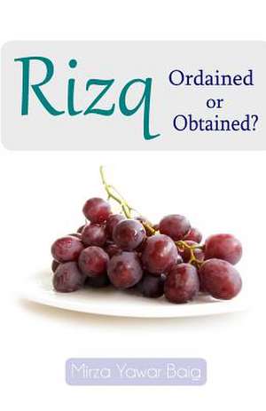 Rizq - Obtained or Ordained? de Mirza Yawar Baig