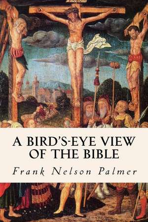 A Bird's-Eye View of the Bible de Frank Nelson Palmer