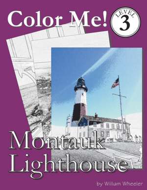 Color Me! Montauk Lighthouse de William C. Wheeler