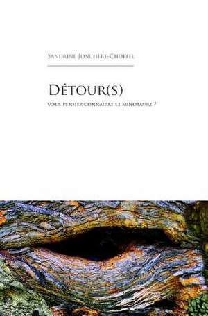 Detour(s) de Sandrine Jonchere-Choffel