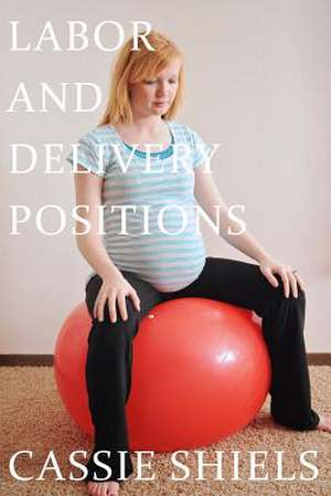 Labor and Delivery Positions de Cassie M. Shiels