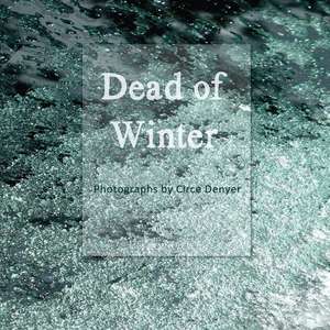 Dead of Winter de Circe Denyer