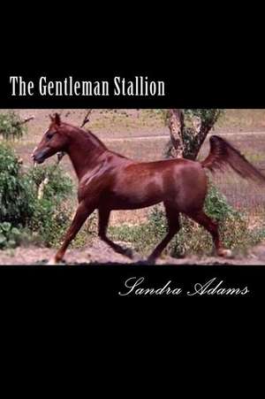 The Gentleman Stallion de Sandra Adams