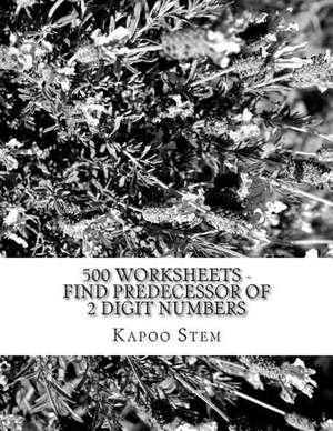 500 Worksheets - Find Predecessor of 2 Digit Numbers de Kapoo Stem