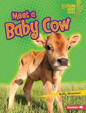 Meet a Baby Cow de Buffy Silverman