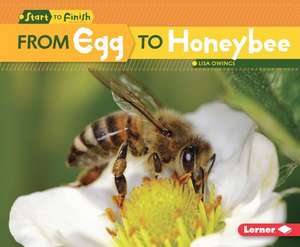 From Egg to Honeybee de Lisa Owings