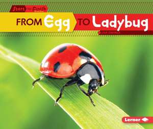 From Egg to Ladybug de Lisa Owings