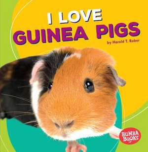 I Love Guinea Pigs de Harold Rober