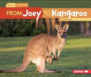 From Joey to Kangaroo de Lisa Owings