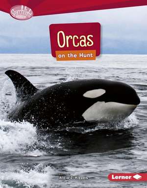 Orcas on the Hunt de Alicia Klepeis