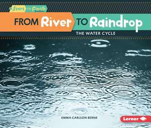 From River to Raindrop de Emma Berne