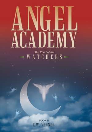 Angel Academy de R. W. Verner