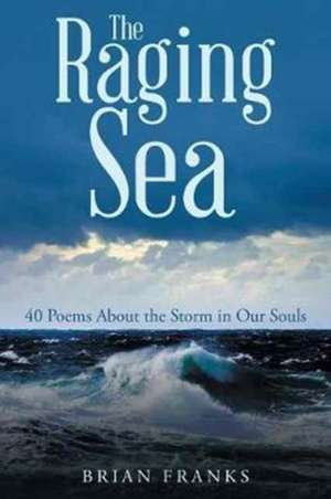 The Raging Sea de Brian Franks