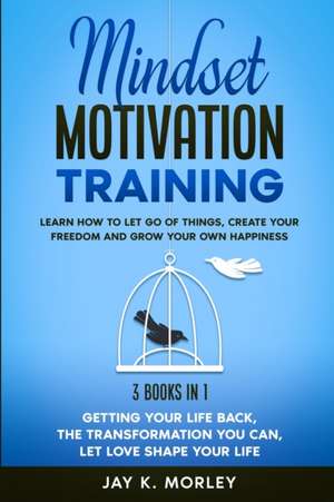 MINDSET MOTIVATION TRAINING de Jay K. Morley