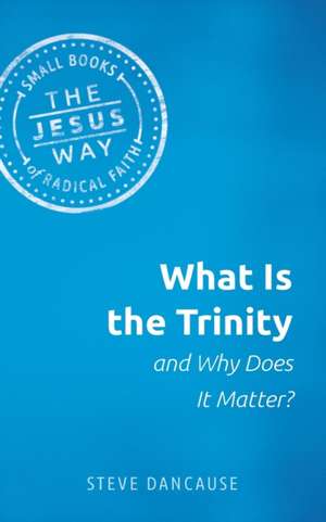 What Is the Trinity and Why Does It Matter? de Steve Dancause