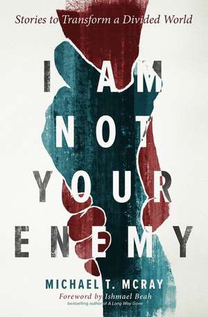 I Am Not Your Enemy de Michael T McRay