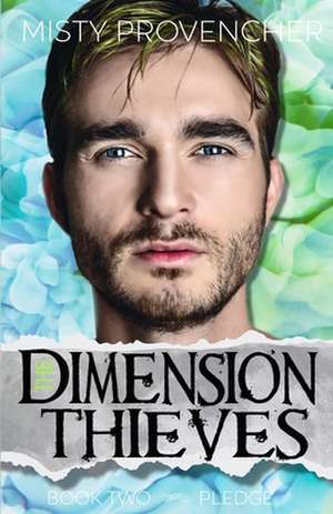 The Dimension Thieves de Misty Provencher