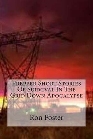 Prepper Short Stories of Survival in the Grid Down Apocalypse de Ron Foster