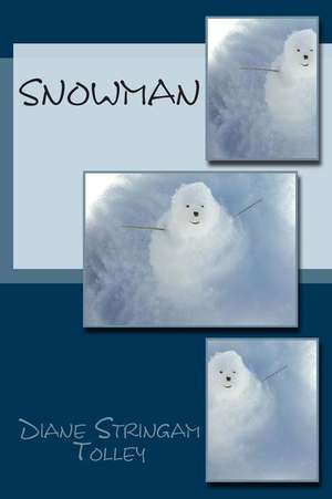 Snowman de Diane Stringam Tolley