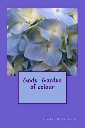 Gods Garden in Colour de L. R. Bevan